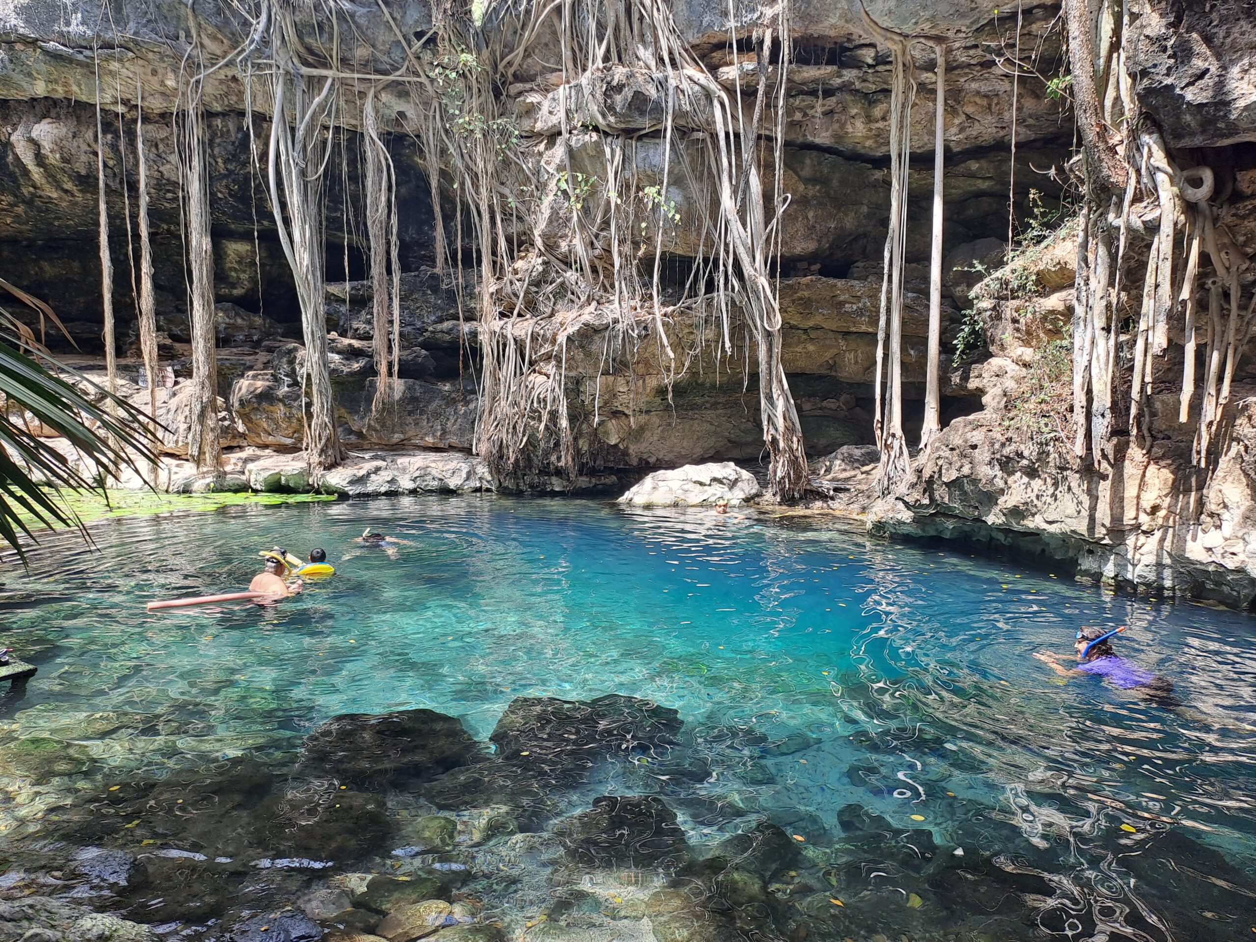 20240320_133212 Aquí tienes las metaetiquetas en texto: **Meta description:** ``` Descubre los mejores tours de cenotes en Mérida, Yucatán. Vive una experiencia única explorando los impresionantes cenotes naturales, ideales para nadar, bucear y disfrutar de la naturaleza. ¡Reserva tu tour de cenotes ahora y vive la magia de Mérida! ``` **Meta keywords:** ``` tours cenotes Mérida, tours en cenotes Yucatán, excursiones cenotes Mérida, visitar cenotes Mérida, cenotes cerca de Mérida, tours de aventura en Mérida, experiencias en cenotes Mérida, turismo en Mérida Yucatán ``` Puedes usar estos textos en tu HTML para optimizar la página para SEO.